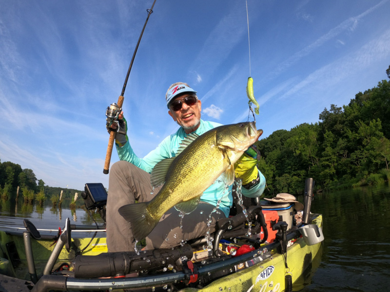 largemouth bass fishing on the Potomac