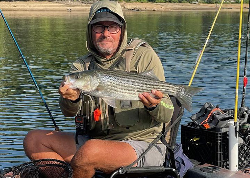 freshwater striper