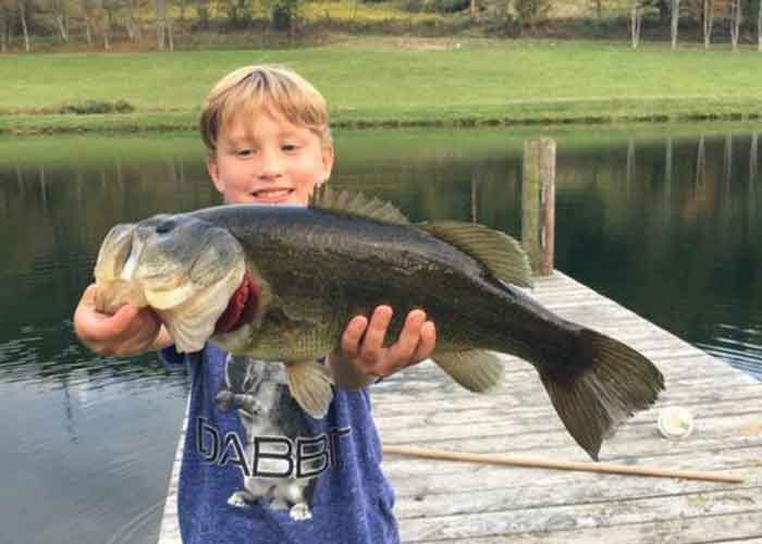 freshwater bass