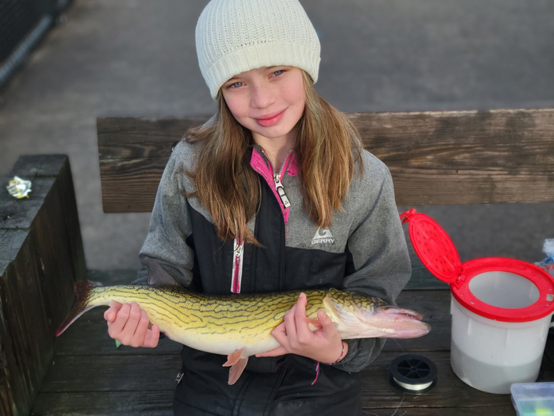 pickerel fishing in the tributaries