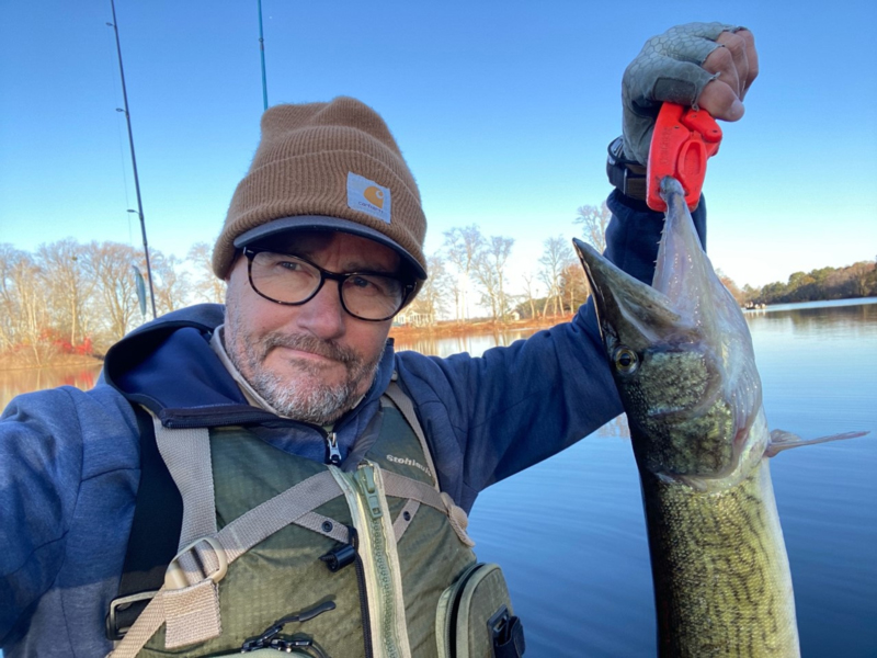 pickerel fishing in freshwater