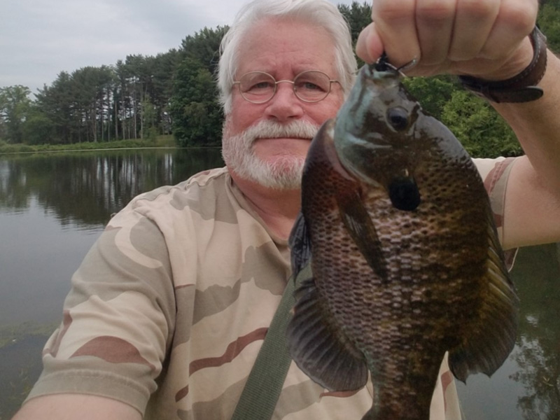 huge bluegill