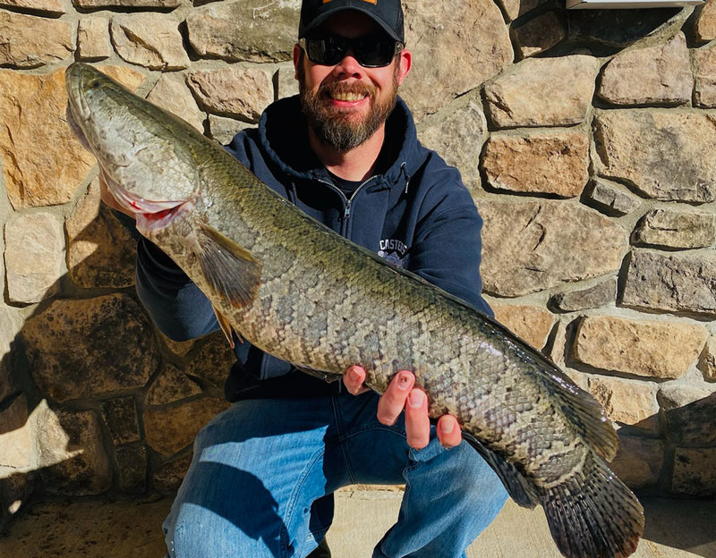 western shore snakehead fishing