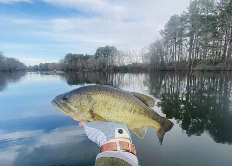 holding up a largemouth bass