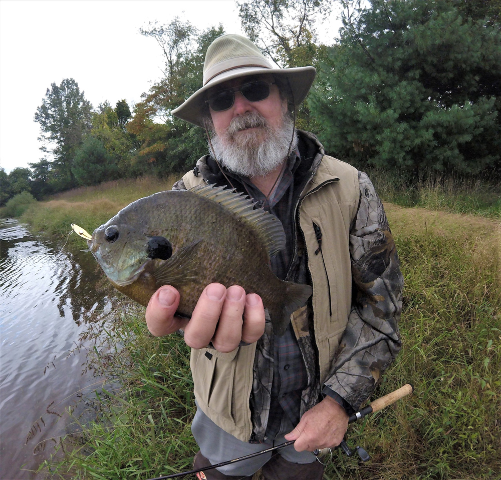 bluegill caught on a spoon