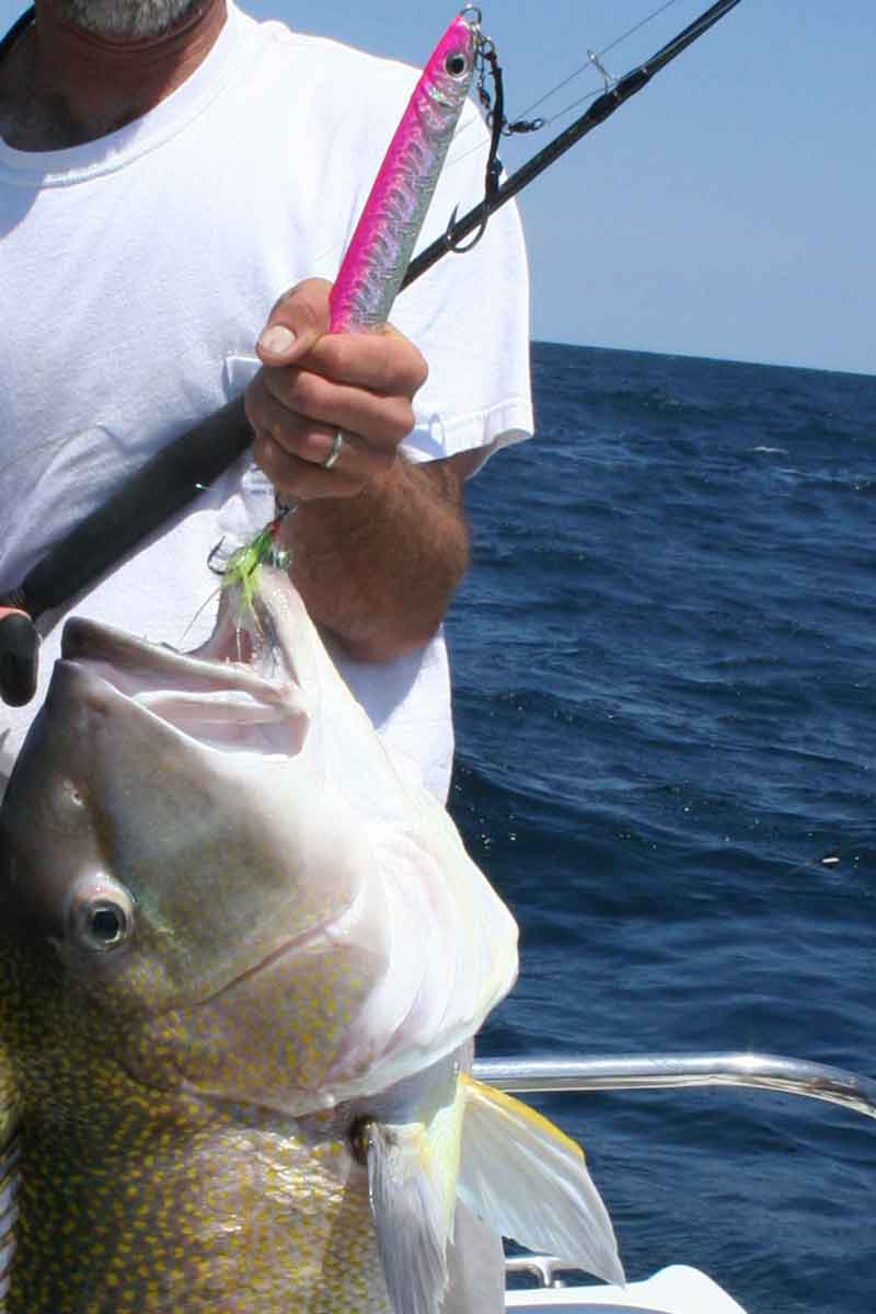 golden tilefish caught by jigging