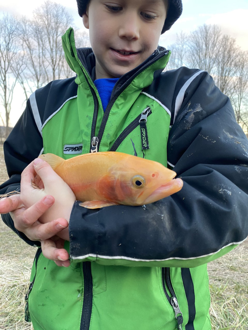 angler caught a golden trout fishing from shore
