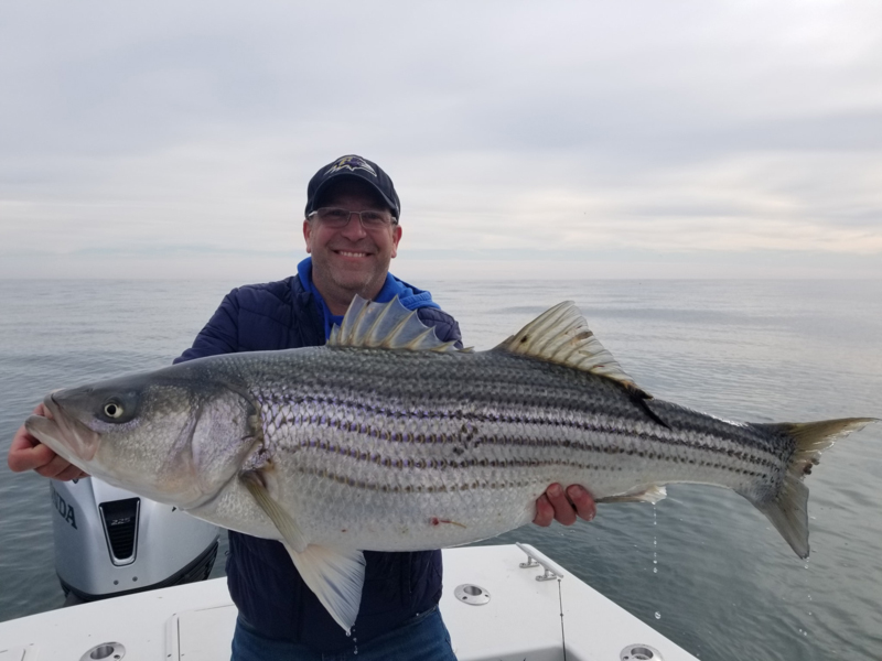 oceanic rockfish