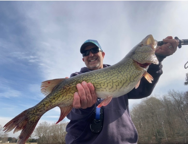 record pickerel