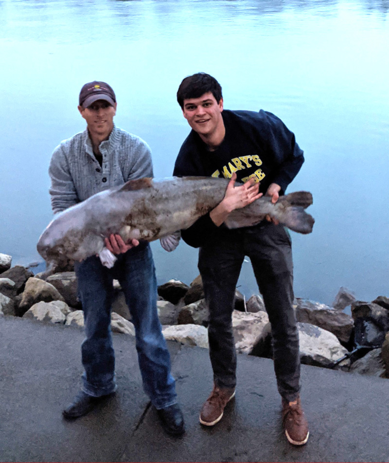 Blue Catfish Bait