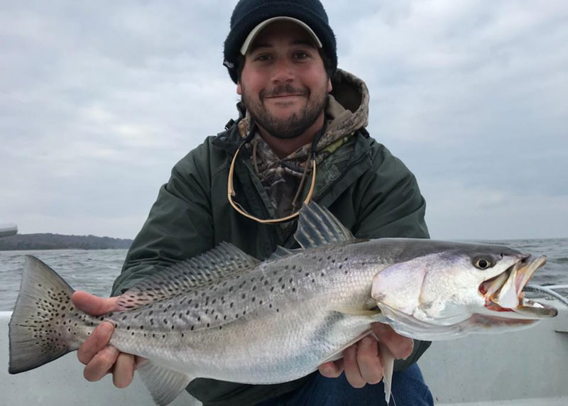 fall speckled trout