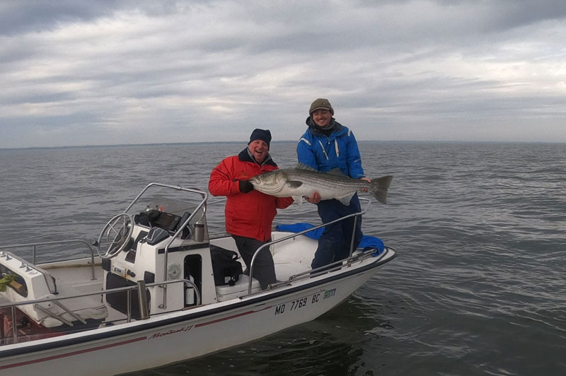 biggest striped bass in chesapeake bay