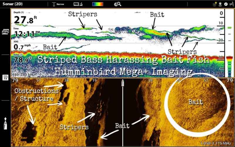 fishfinder screen of a humminbird