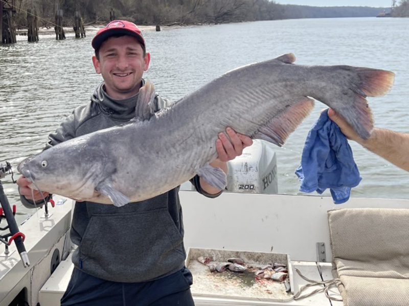 big catfish in the james river