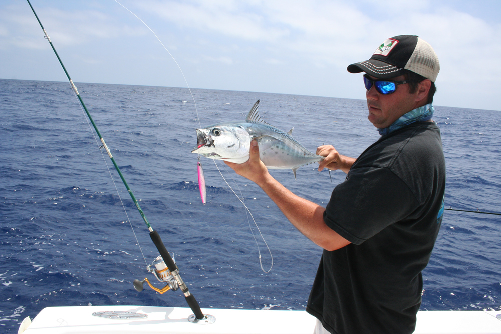 catching bonito with fishing spoons