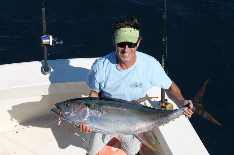 tuna fish jigging
