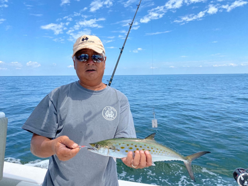 trolling for spanish mackerel in the lower bay