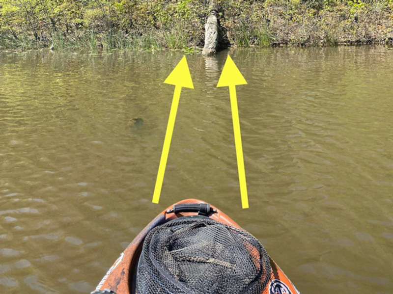 kayak casting to a laydown