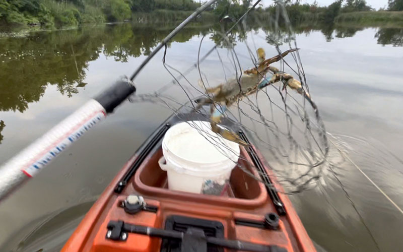 kayak trotline crabbing