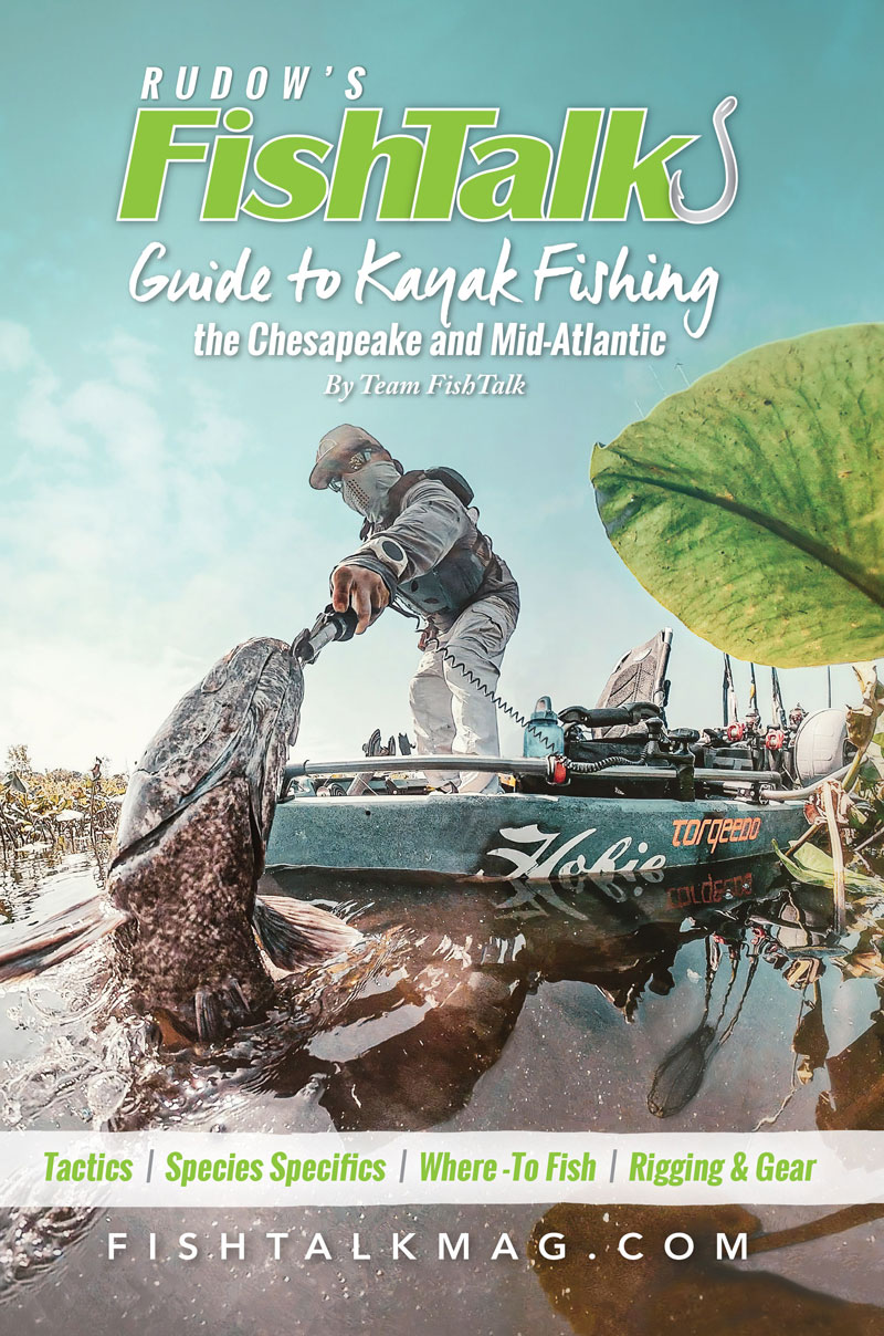 fishtalk kayak fishing book