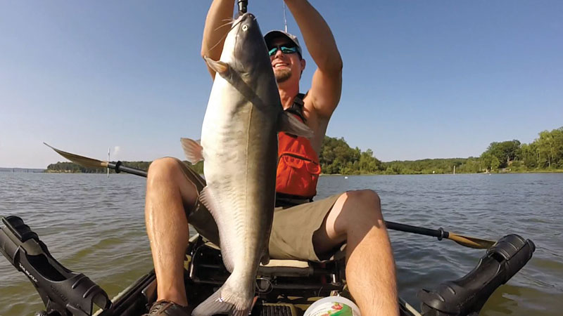 kayak fishing catfish