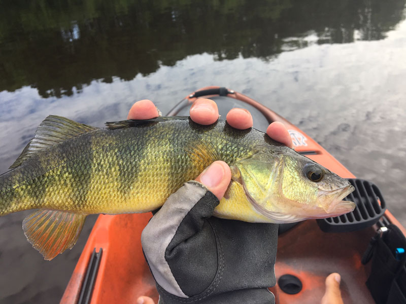 fishing for panfish from a kayak