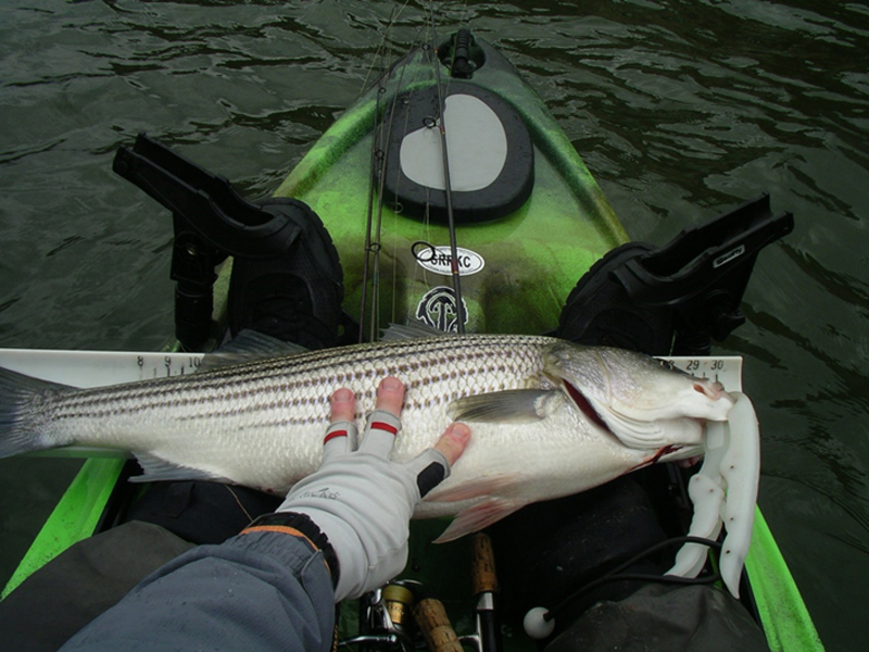 fishing on a kayak