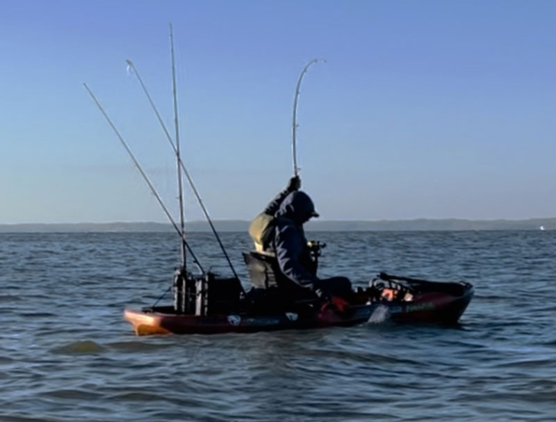 kayak fishing catching a fish