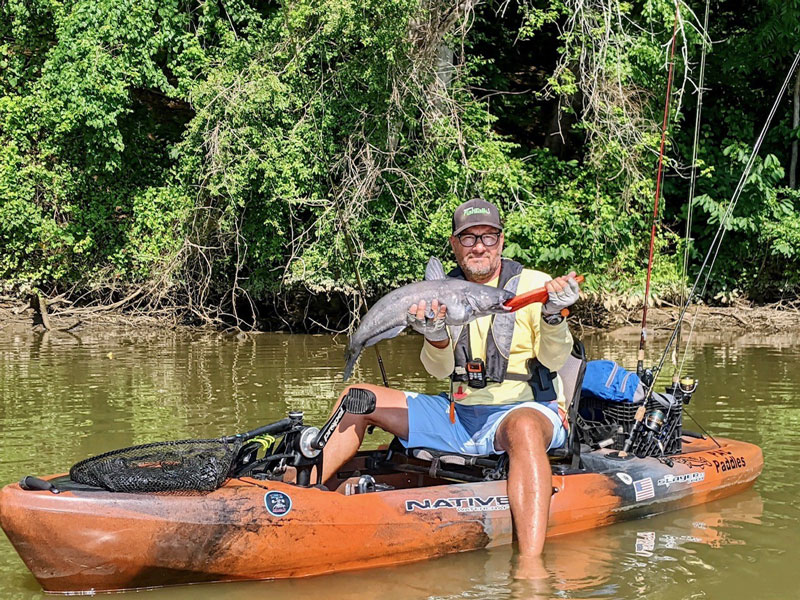 blue catfish while kayak fishing