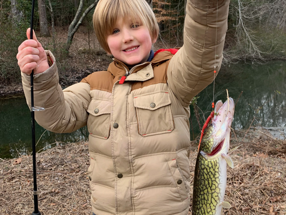 pickerel fishing 