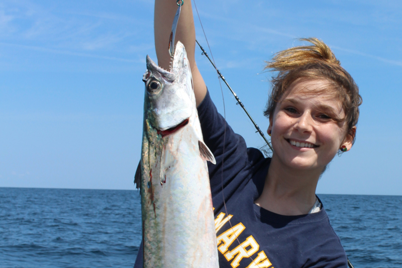 king mackerel fish