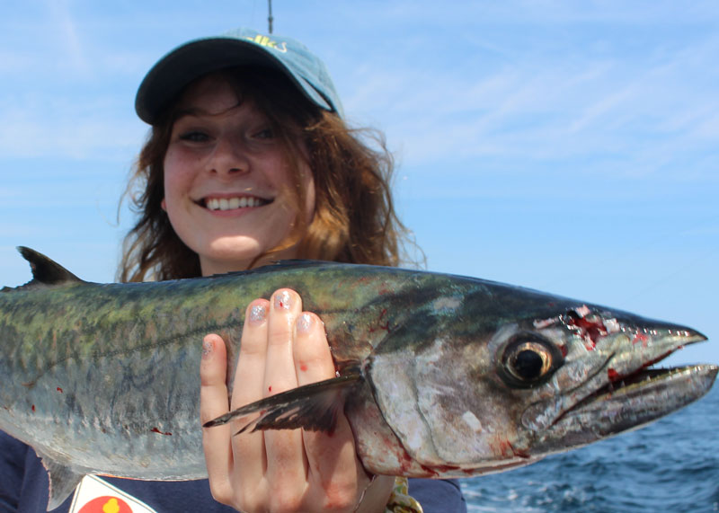 king mackerel fishing