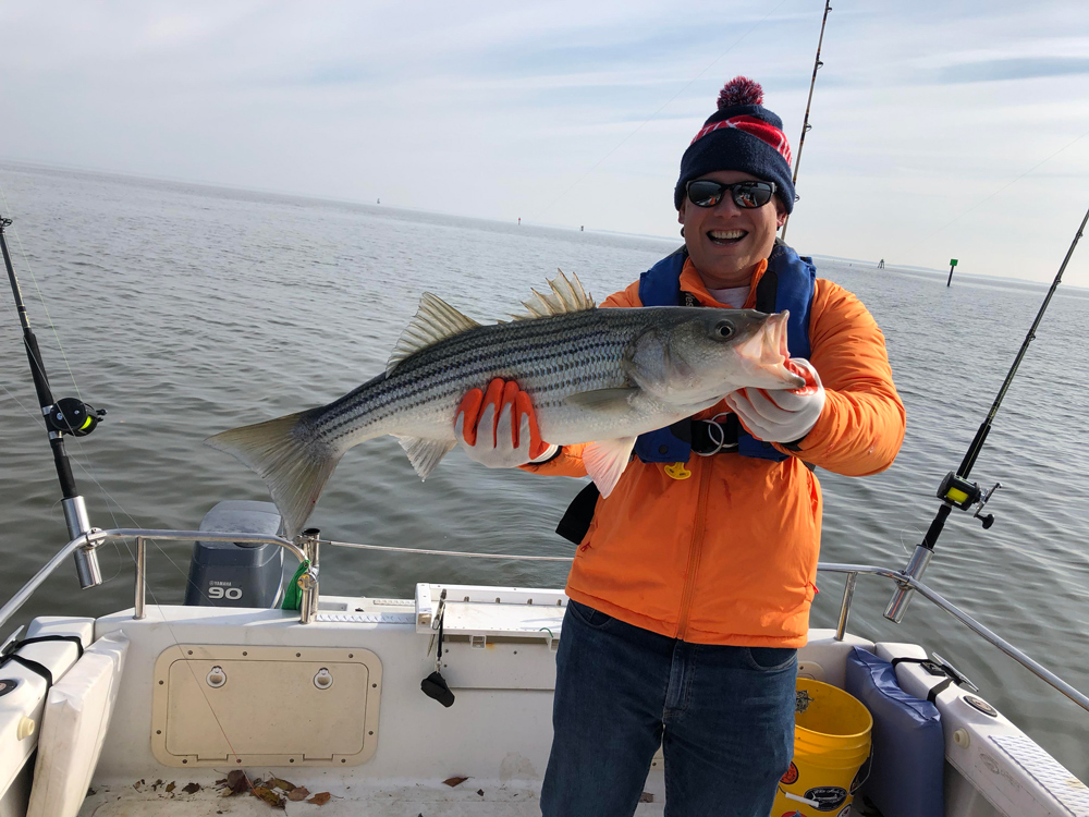 winter striper fishing