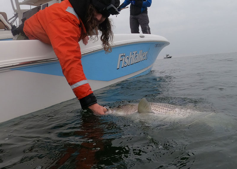 fishing in low light conditions