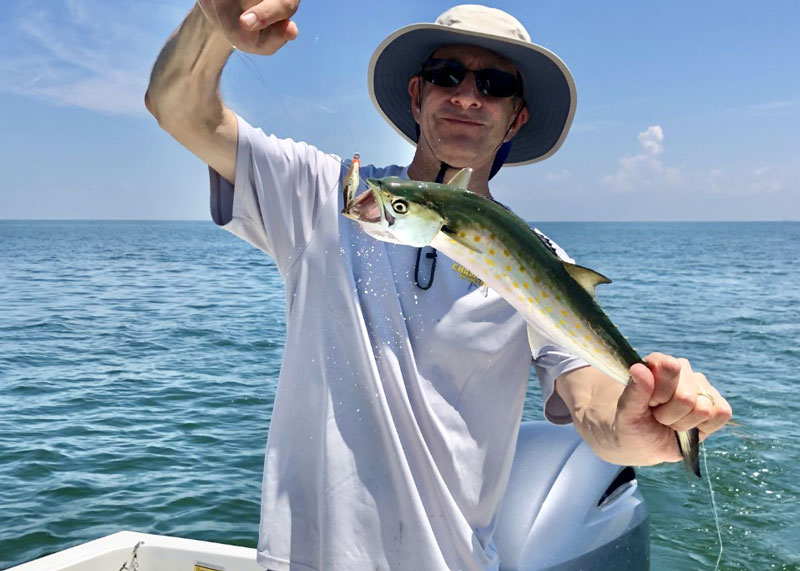 lower bay spanish mackerel