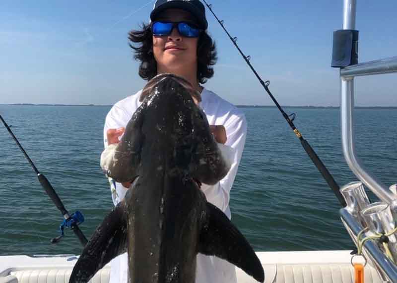 angler with a cobia