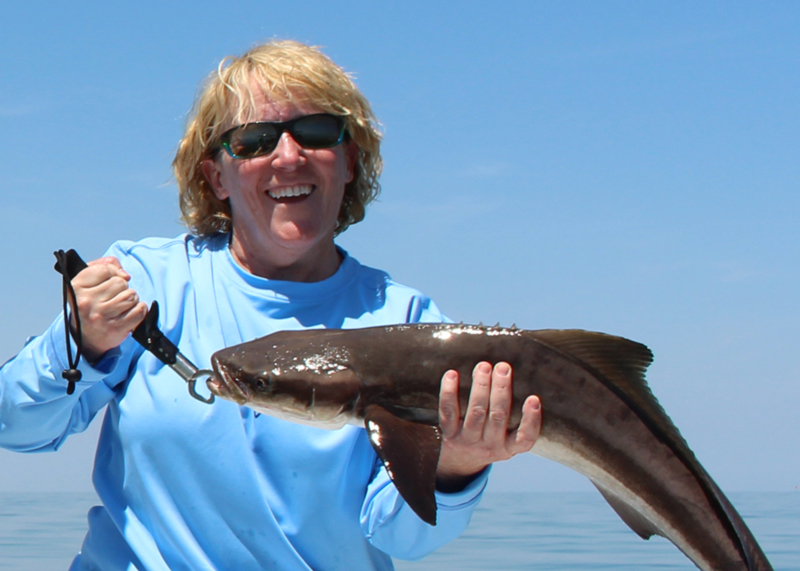 cobia fishing