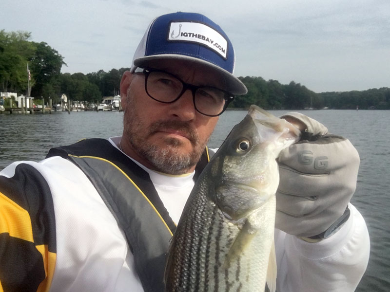 striped bass fishing