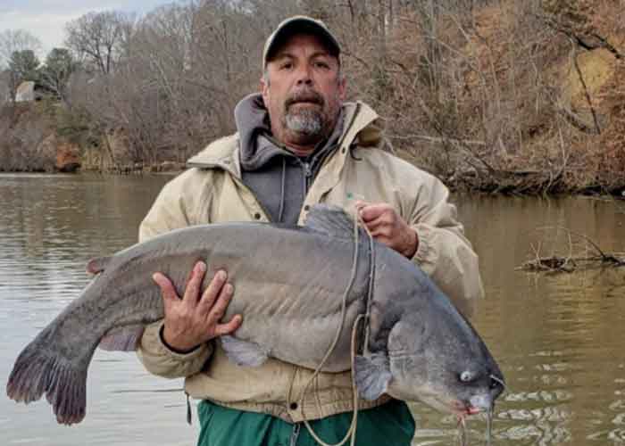 giant blue catfish held up by angler