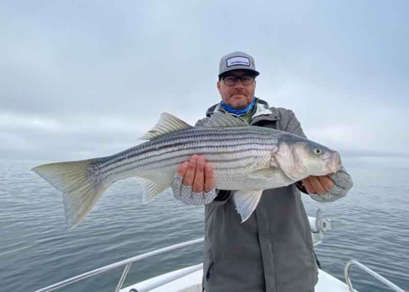 caught a rockfish on the bay