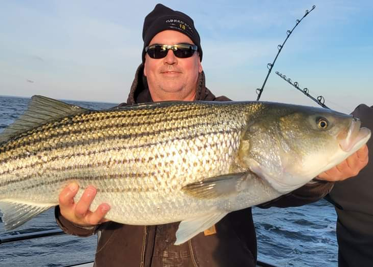 monster rockfish