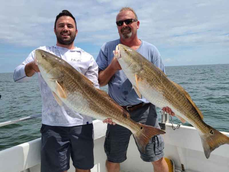 big redfish caught in the chesapeake