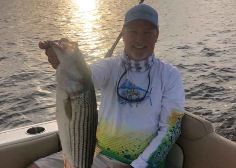 lower bay rockfish report