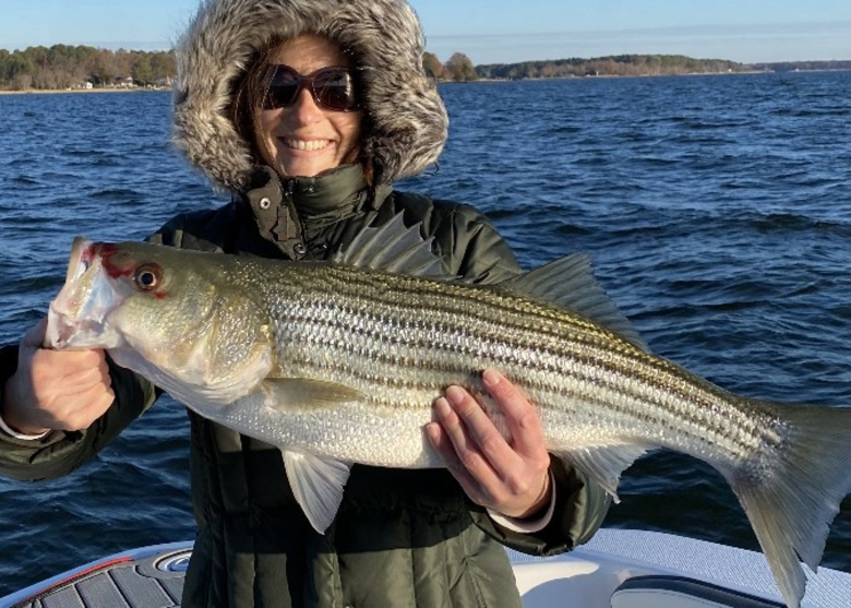 nice striper from the potomac river