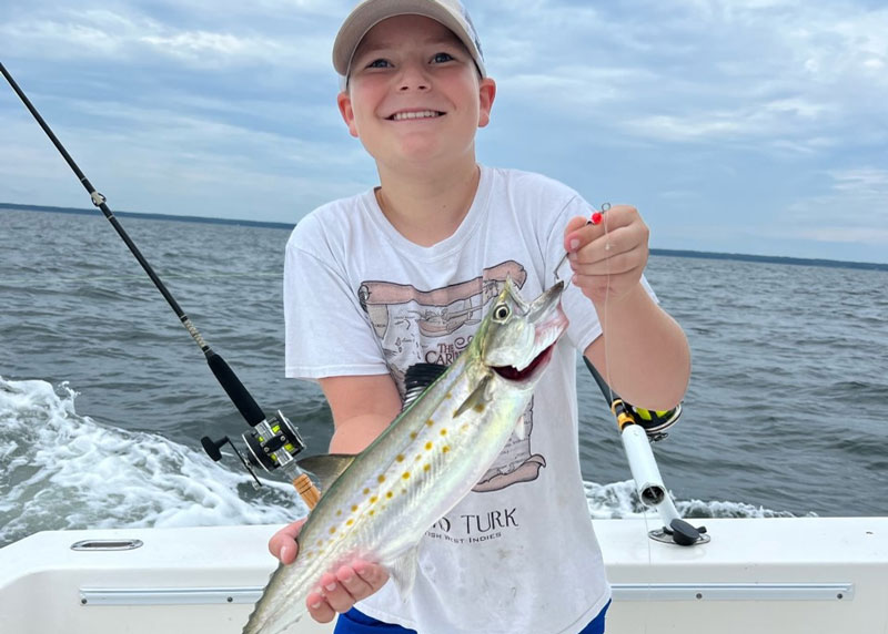 spanish mackerel trolled for in the lower bay