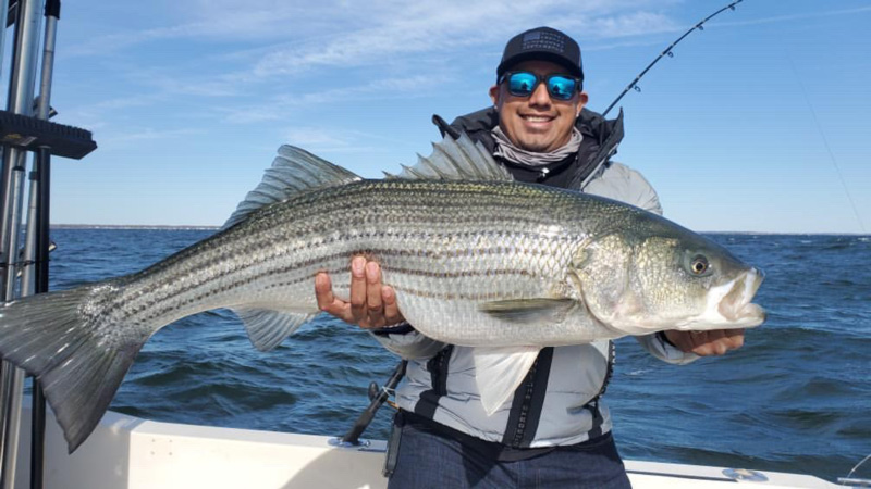 lower chesapeake bay fishing report