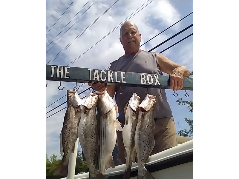 a stringer of fish from the tacklebox
