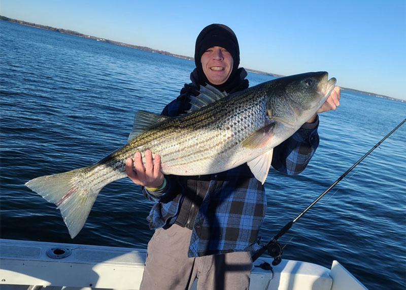 lower bay trophy size striped bass