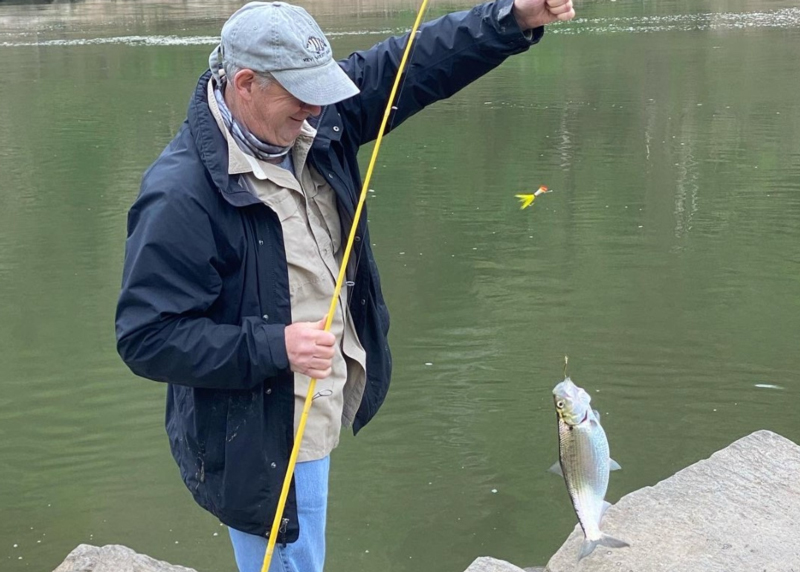 shad in the potomac river