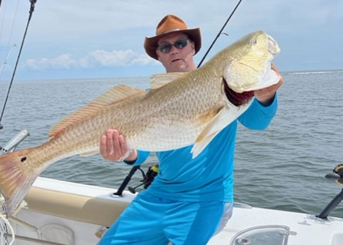 bull red